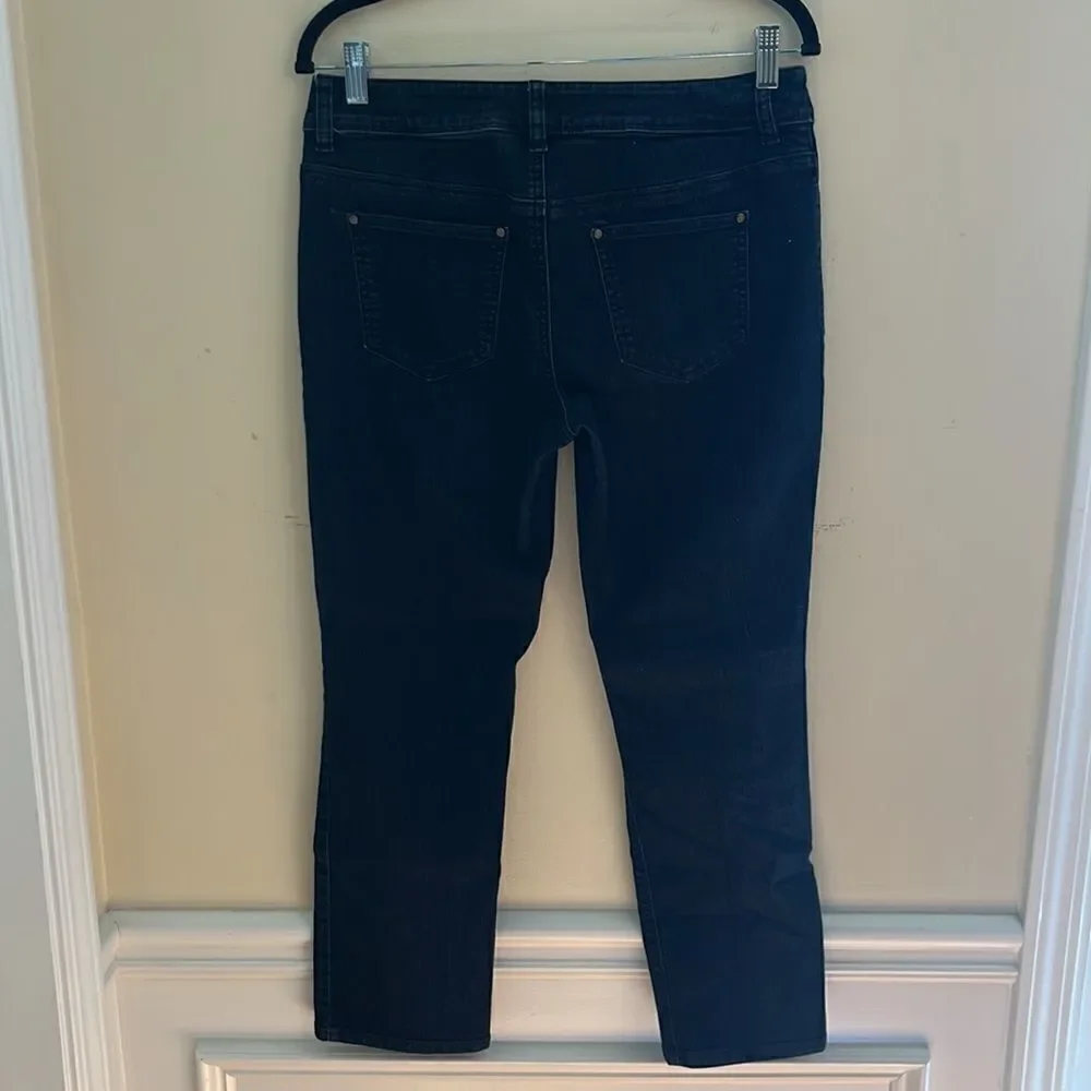 Platinum Chico’s Dark Wash Skinny Jean